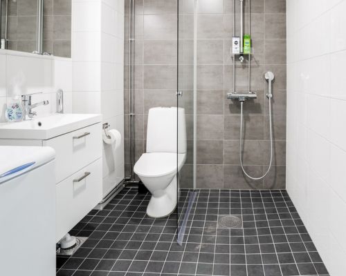 Bathroom with shower, toilet and sink